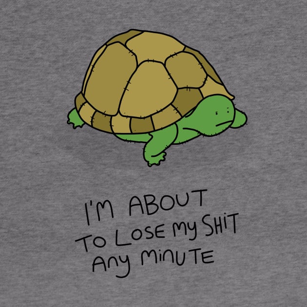 Grumpy Turtle by grumpyanimals